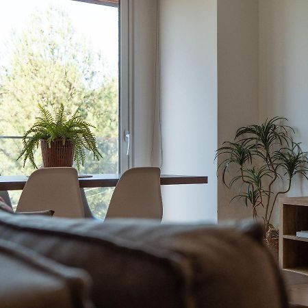 Alpes Da Montanha 501 - Apartamento Em Gramado Kültér fotó